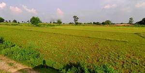 Chandla, Madhya Pradesh 471525, India preview 2