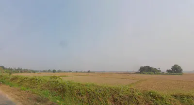 Laxminarayanpur, Odisha, India preview 2