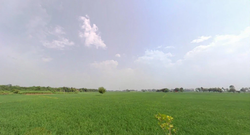 Ridhau, Haryana 131408, India