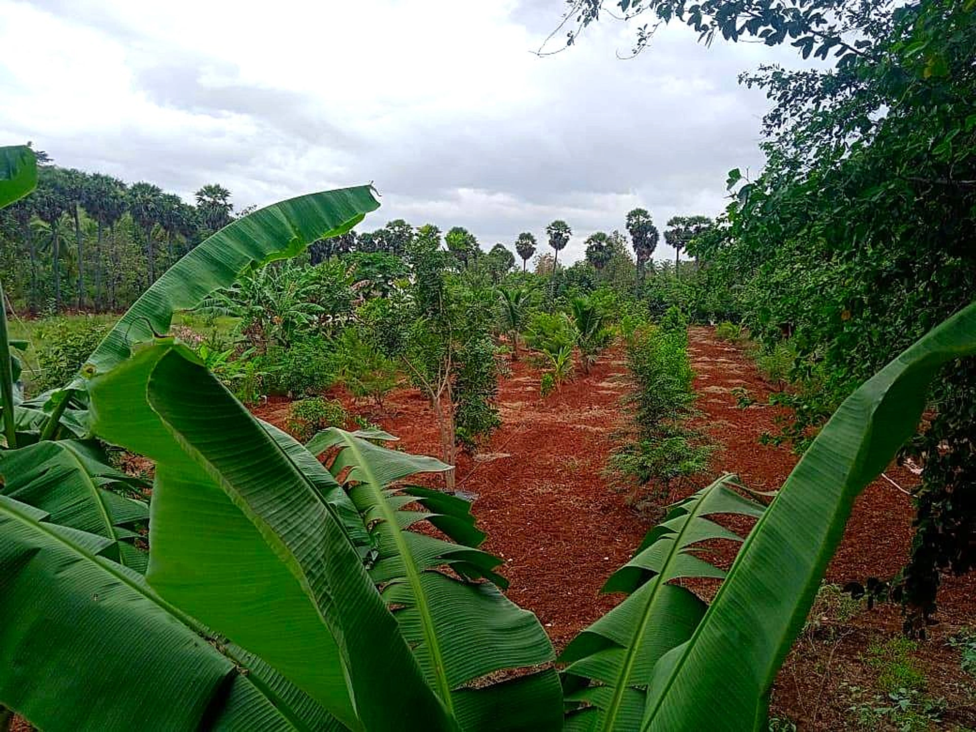 Srivilliputhur, Tamil Nadu 626125, India