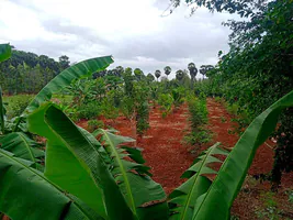 Srivilliputhur, Tamil Nadu 626125, India preview 6