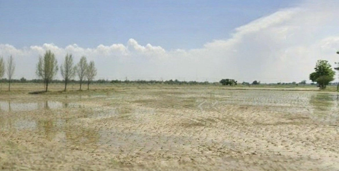 Barnagar, Madhya Pradesh 456771, India preview 3