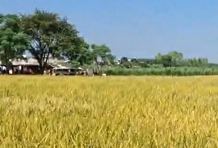 Shikarpur, Rampur, Uttar Pradesh 244924, India