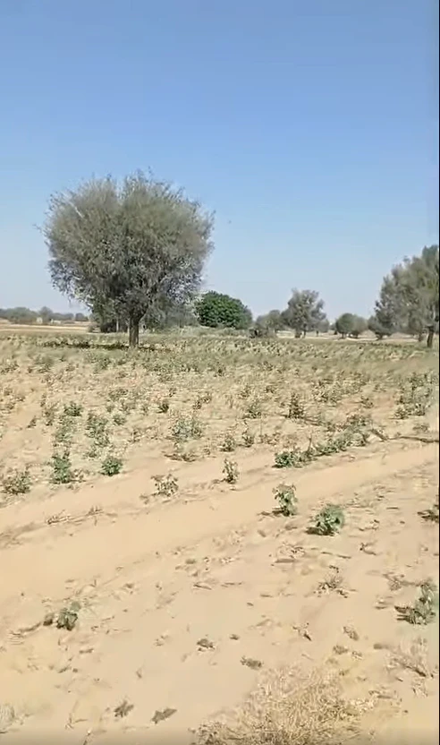 GFR8+FP Neemgaon, Mathura, Uttar Pradesh, India
