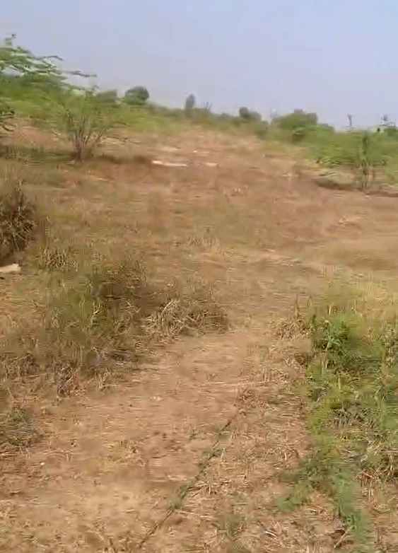 W7J7+47 Barh Chandrana, Rajasthan, India