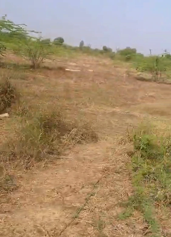 W7J7+47 Barh Chandrana, Rajasthan, India