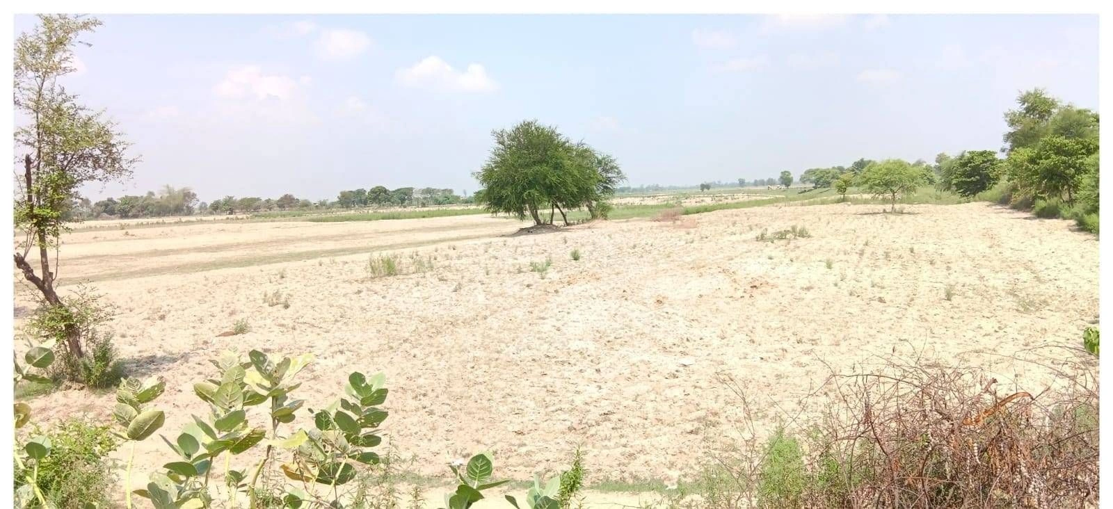 JXCH+5J Bhagi Pur, Uttar Pradesh, India