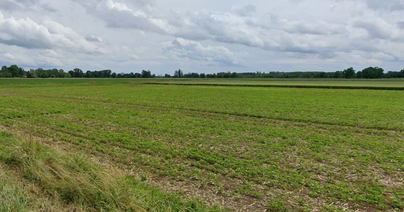 Sultanpur, Madhya Pradesh 464986, India preview 3