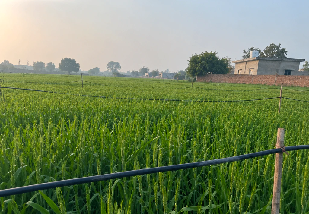 Bhadana, Kota, Rajasthan 324002, India