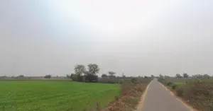 Valotri, Gujarat 388180, India preview 2