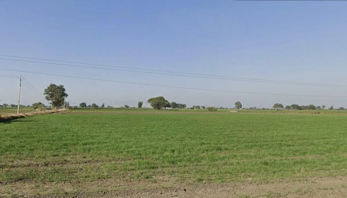 Irrigation Colony, Shajapur, Madhya Pradesh 465001, India