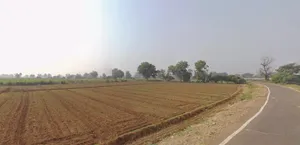 V6VV+PG, Sanadra, Gujarat 388250, India preview 2