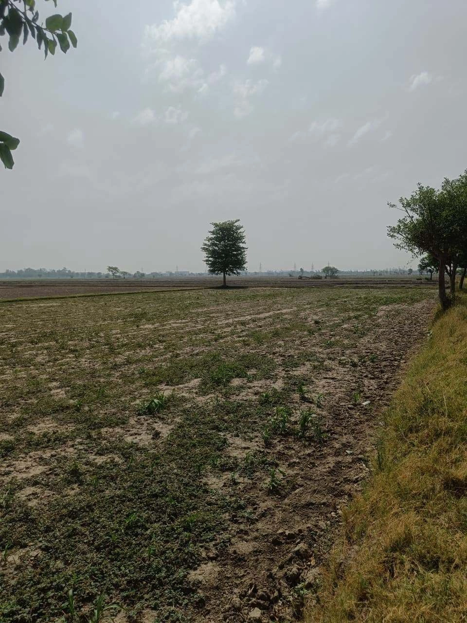 Aou, Rajasthan, India