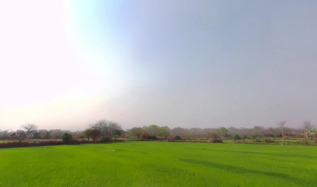 Khamhariya, Chhattisgarh 493449, India