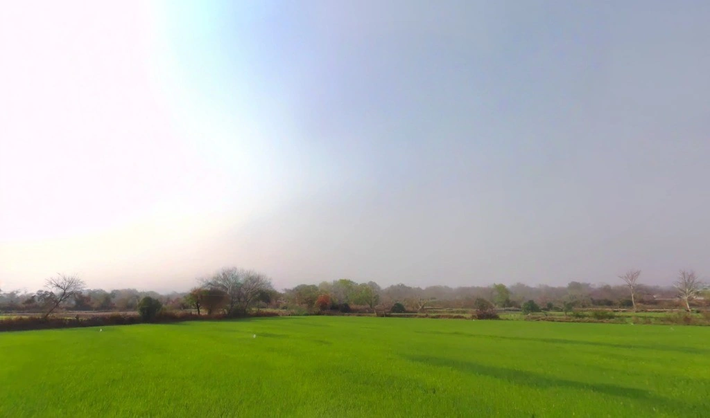 Khamhariya, Chhattisgarh 493449, India