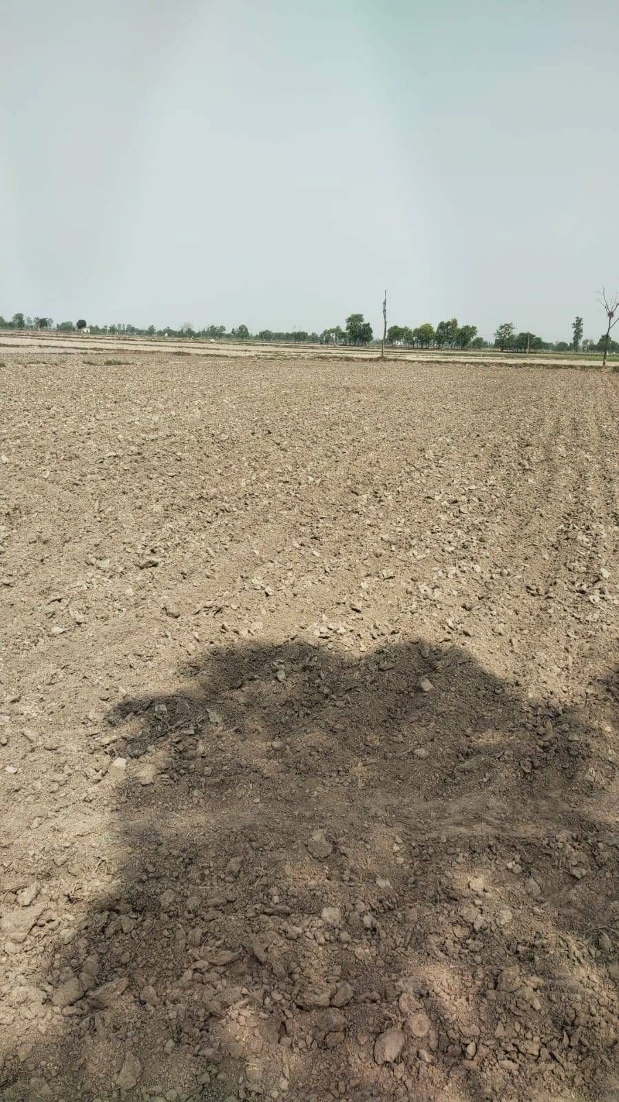 7FRQ+XR3, Bhindaulia, Uttar Pradesh 243123, India