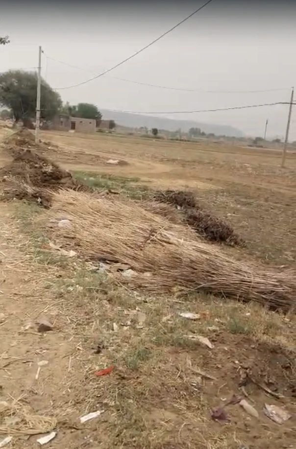JXCF+H3 Dhanota, Rajasthan, India