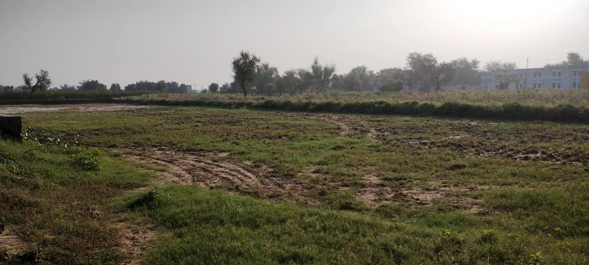 Semli, Rajasthan, India