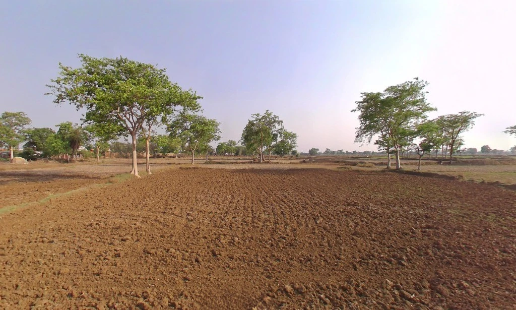 5XR8+39R, Arang, Chhattisgarh 493441, India