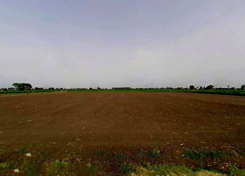 Dastoi, Uttar Pradesh, India preview 2