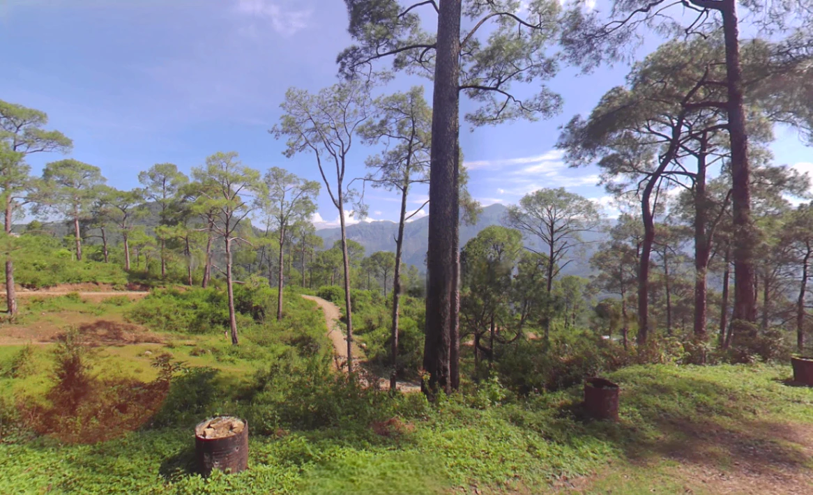 Renuka Ji, Himachal Pradesh 173022, India