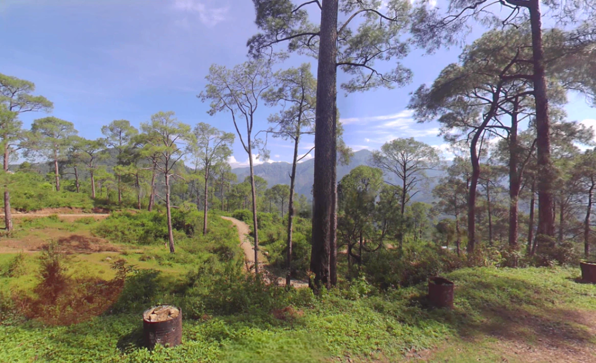 Renuka Ji, Himachal Pradesh 173022, India