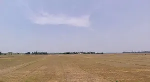 Chaibasa Rd, Dudri, Murhu, Jharkhand 835216, India preview 2