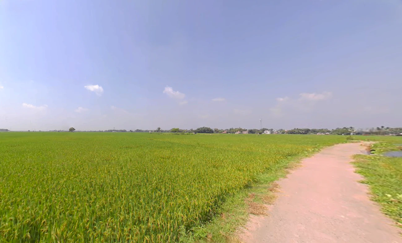 Singur, West Bengal 712409, India