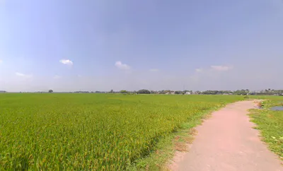 Singur, West Bengal 712409, India preview 3