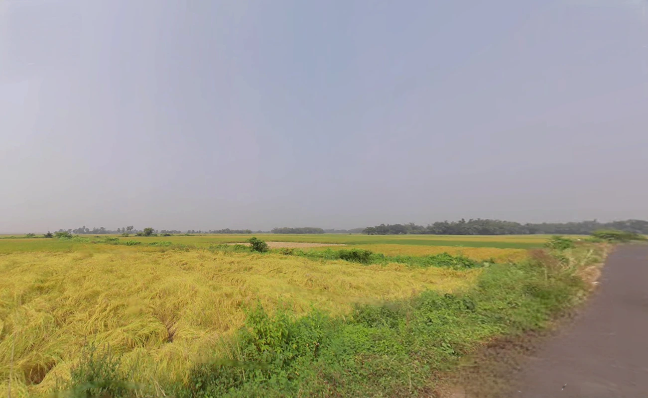 Singur, West Bengal 712409, India