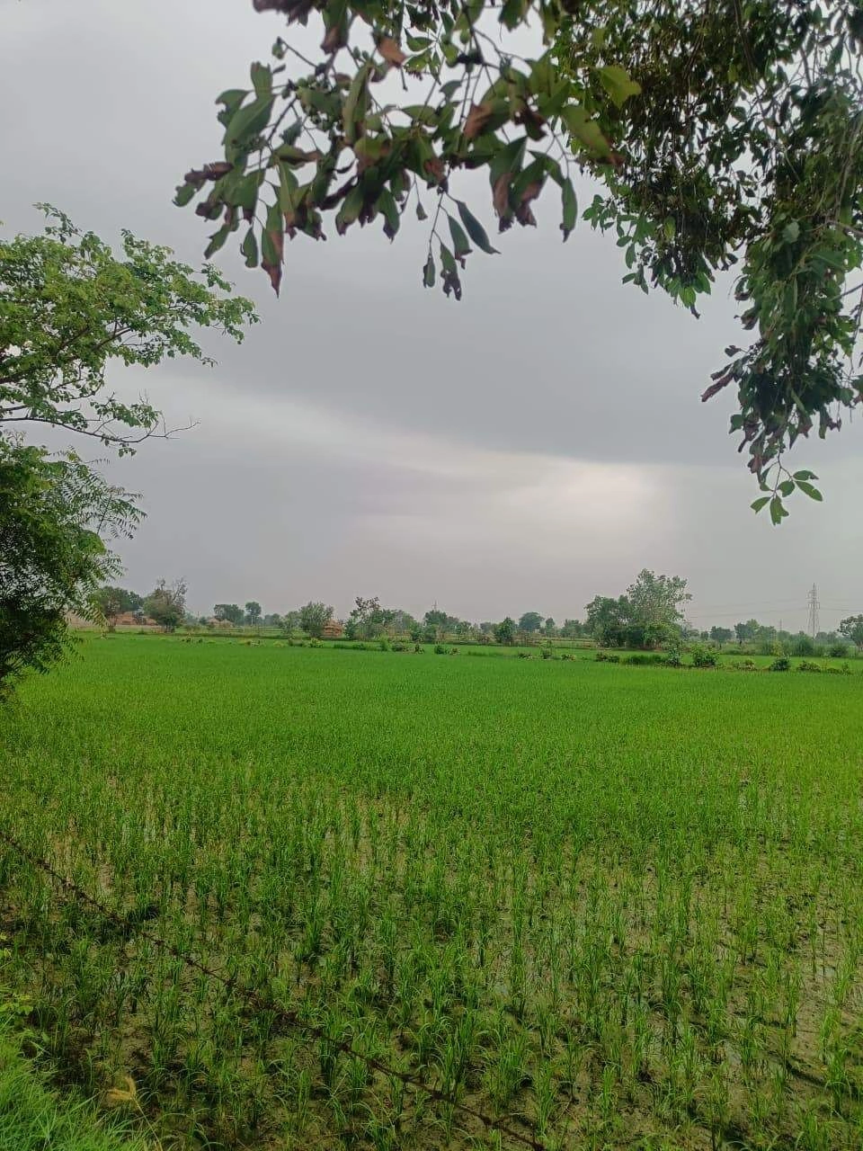 Bukharari, Mathura, Uttar Pradesh, India preview 2