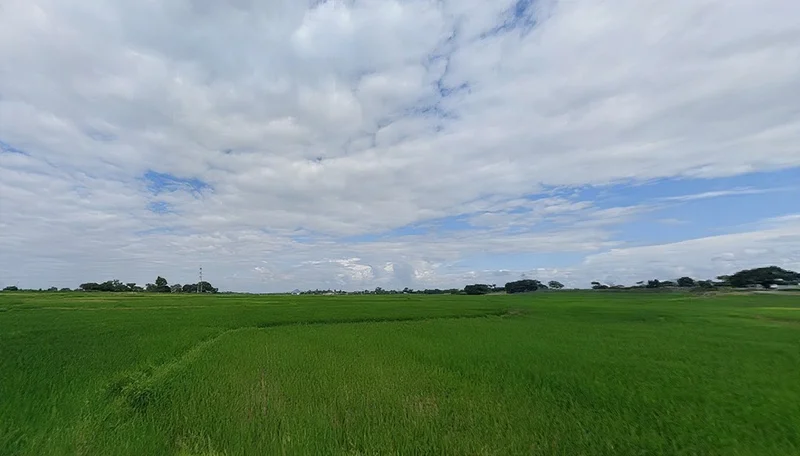 Sukurhutu, Jharkhand 834006, India preview 3