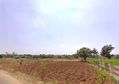Gangrekaluve, Karnataka, India preview 5