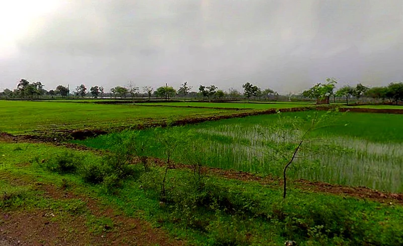 Kharhari, Chhattisgarh, India preview 2