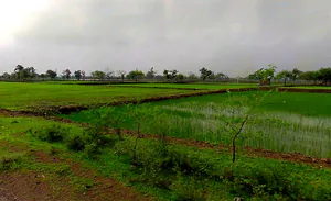 Kharhari, Chhattisgarh, India preview 2