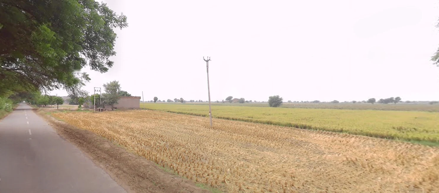 Kaluana, Haryana 125103, India