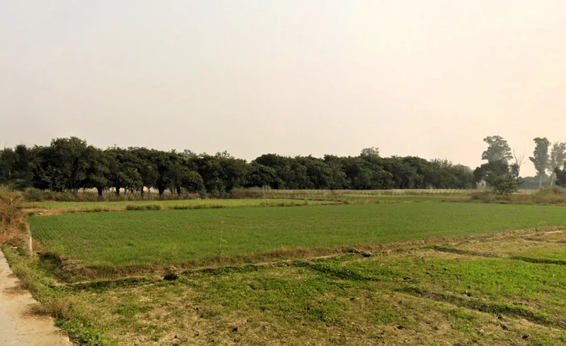 Sundarpur, Haryana 124514, India preview 3