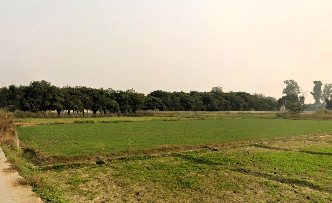 Sundarpur, Haryana 124514, India