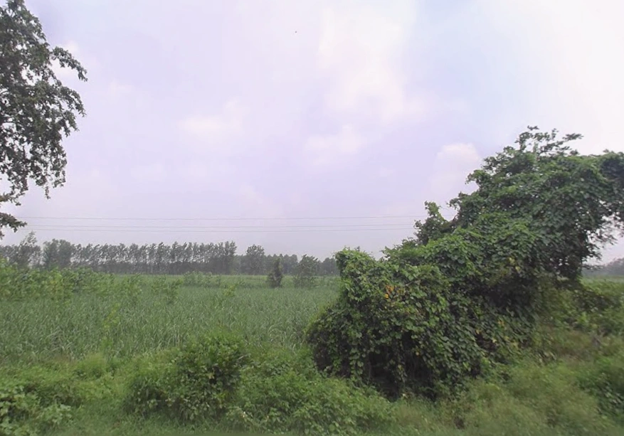 Behat, Uttar Pradesh 247121, India