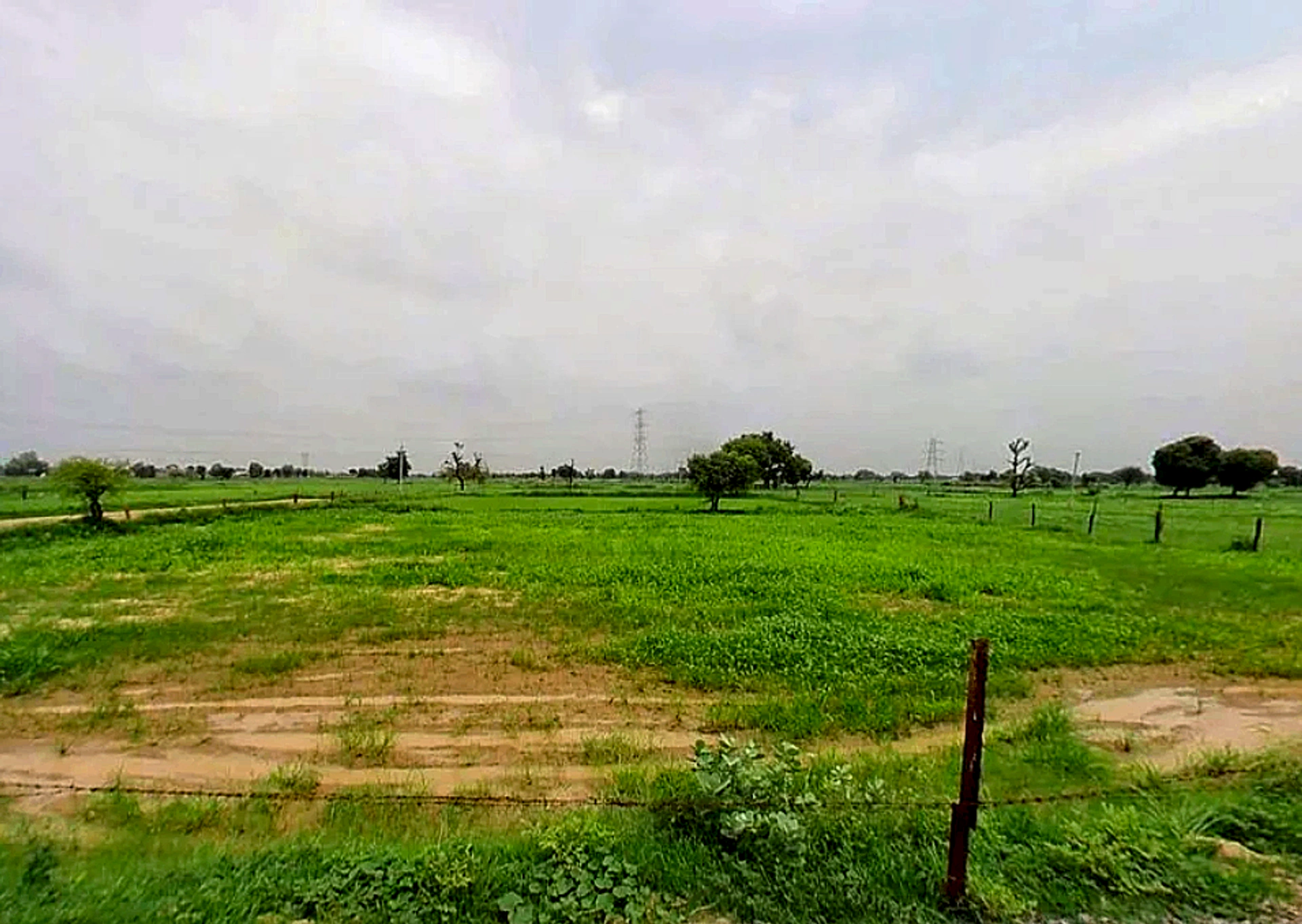 Chomu, Rajasthan, India