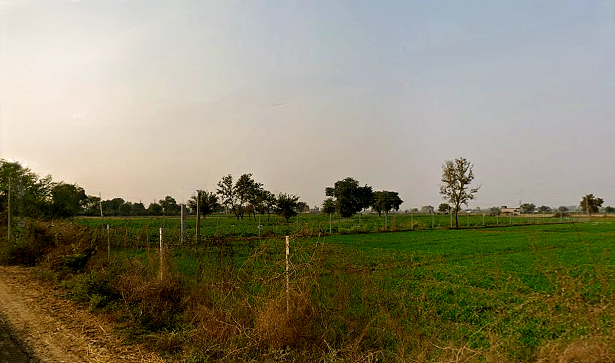 Chang, Haryana 127027, India
