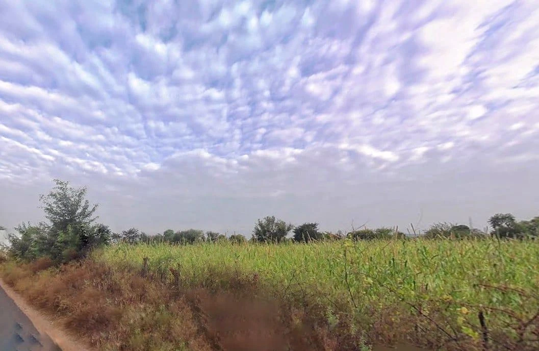 Ranoli, Rajasthan 332403, India