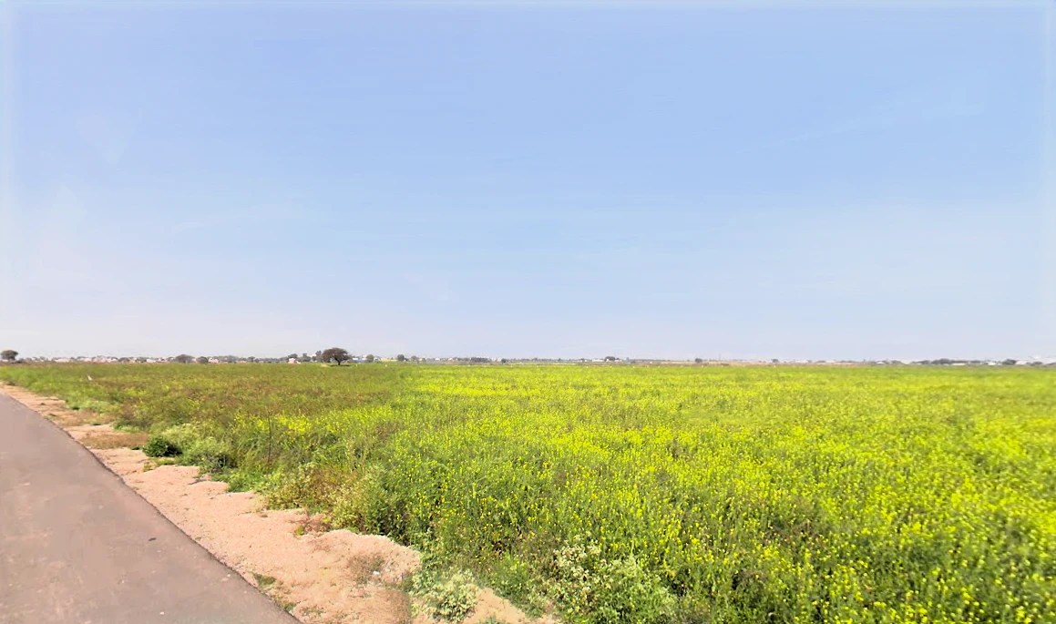 GP7H+2H5, Untloda, Haryana 124103, India