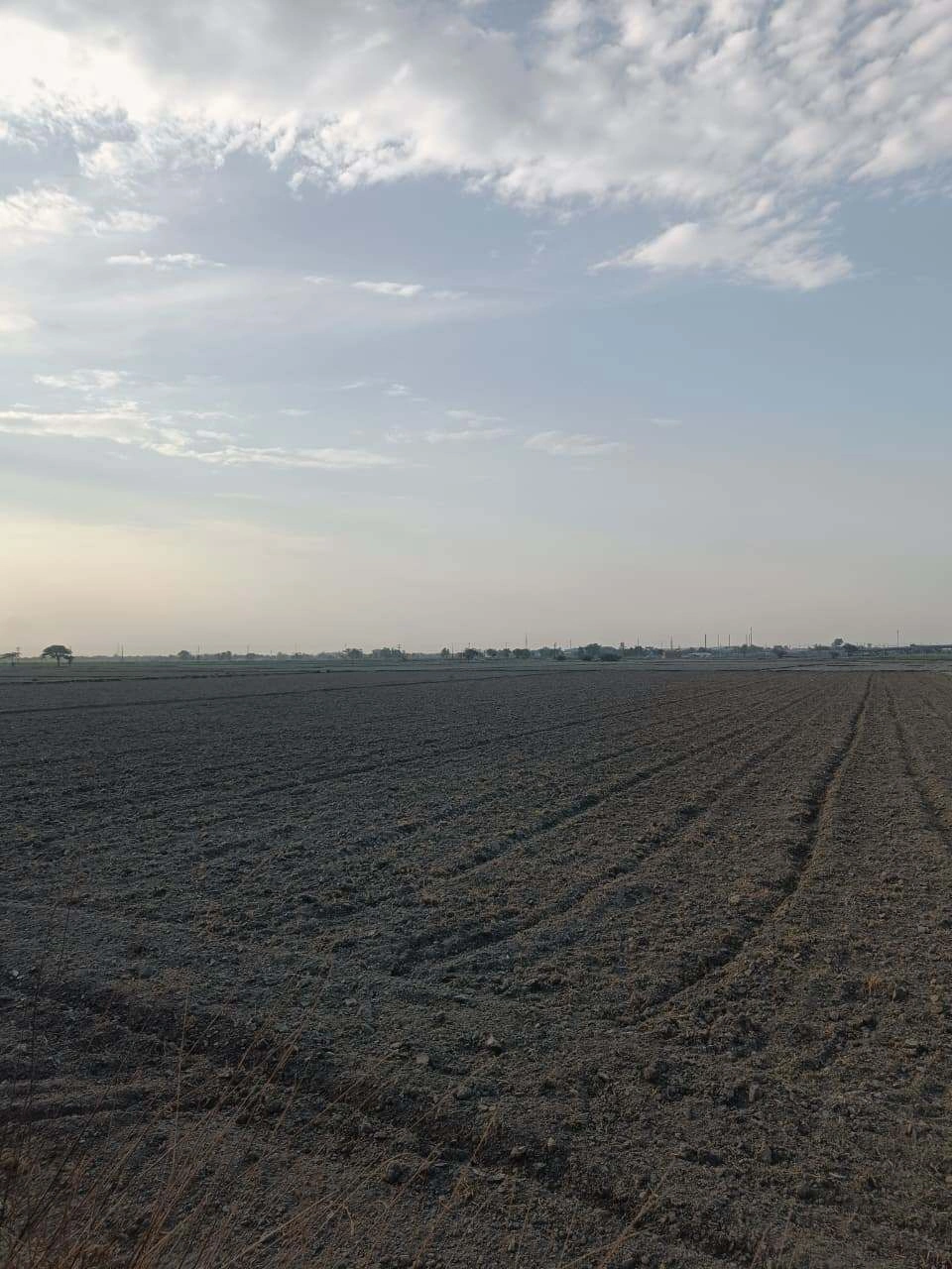 Sankhi, Uttar Pradesh 281401, India