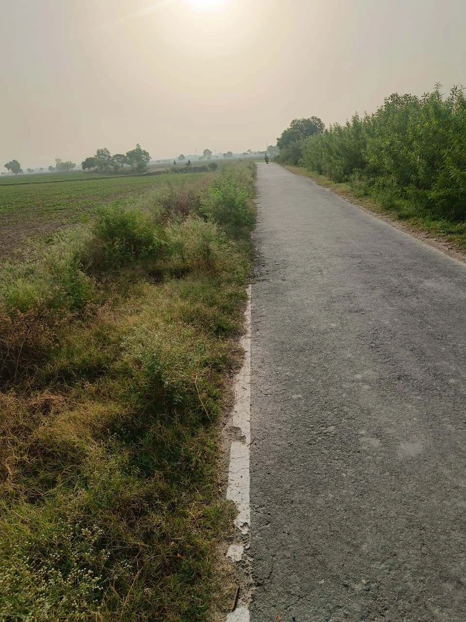 Tentigaon, Uttar Pradesh, India