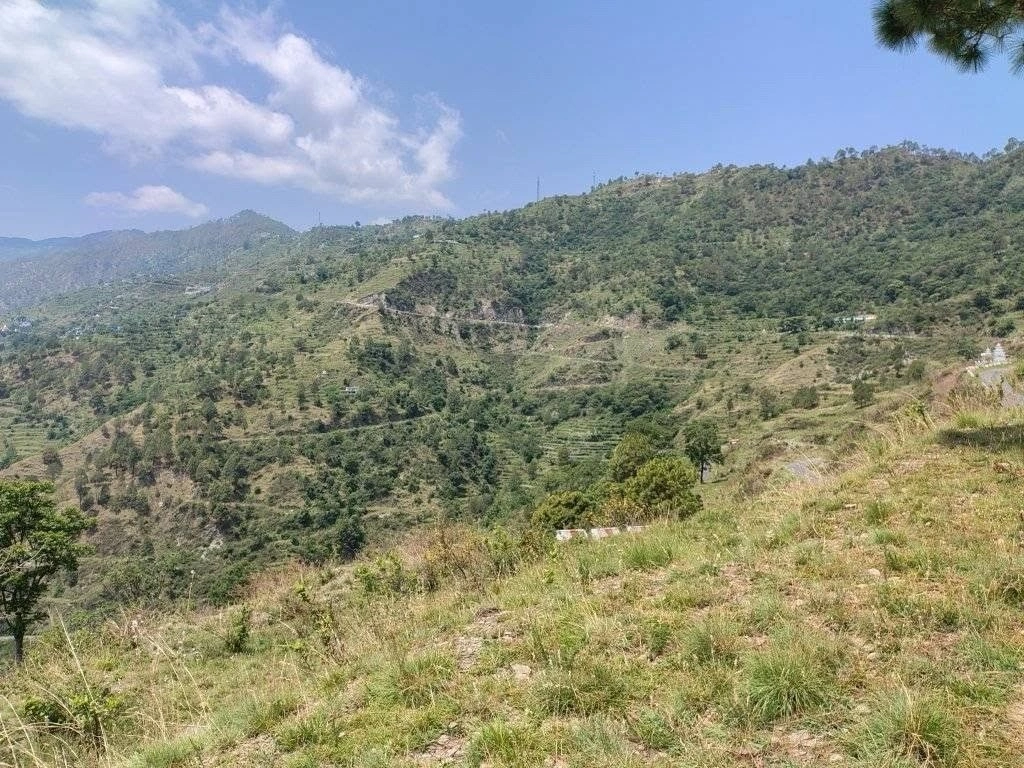 Jalna, Uttarakhand 263625, India