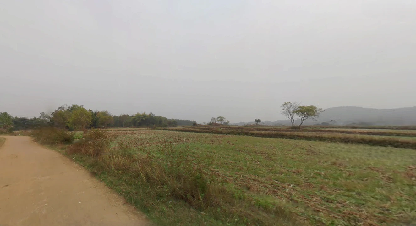 Jagannath Temple Rd, Bali Sahi, Puri, Odisha 752001, India