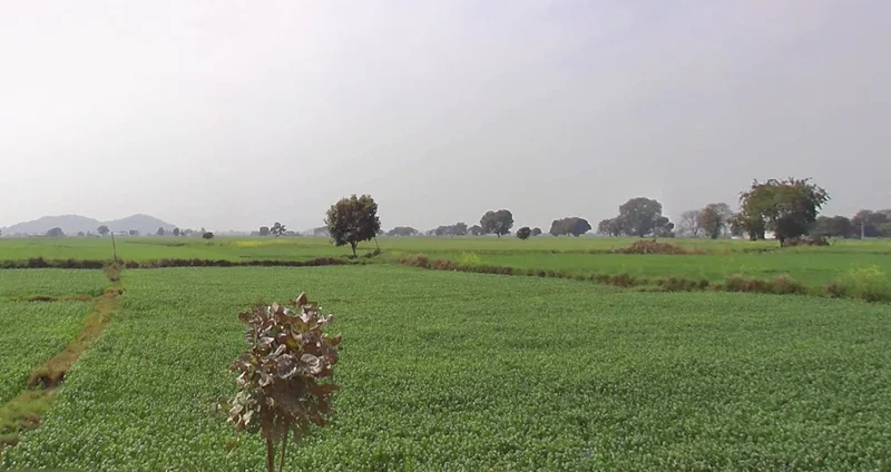 Bamroul, Madhya Pradesh 475220, India preview 3