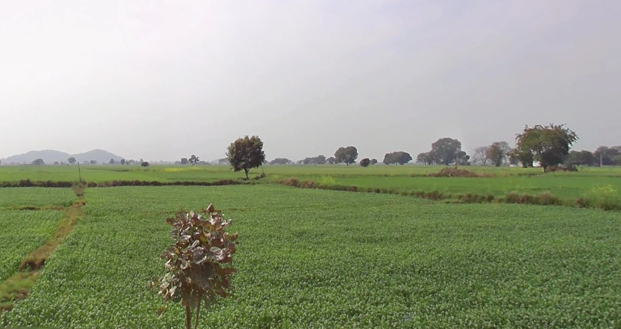 Bamroul, Madhya Pradesh 475220, India