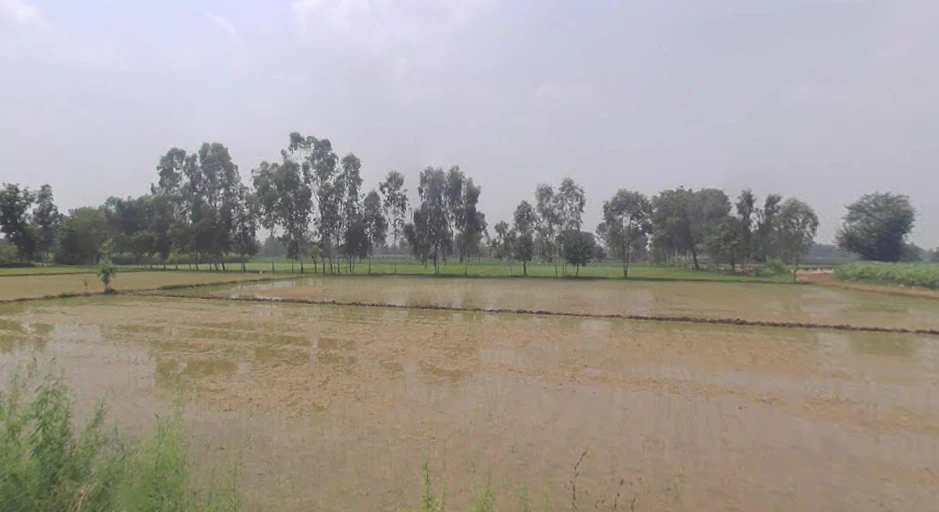 Anupshahar, Uttar Pradesh 203390, India